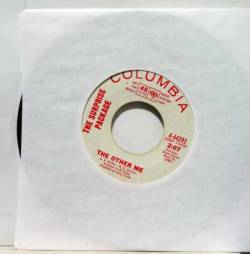 The Surprise Package : The Other Me - The Merry-Go-Round Is Slowing You Down